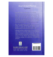 Load image into Gallery viewer, From Monogamy to Polygyny: A way Through