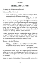 Load image into Gallery viewer, Presenting Islam in the West