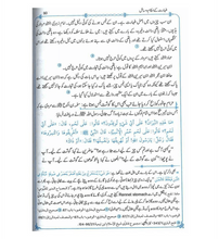 Load image into Gallery viewer, Fiqh Kitab O Sunat : Urdu / فقهِ کِتاب وسُنّت اردو
