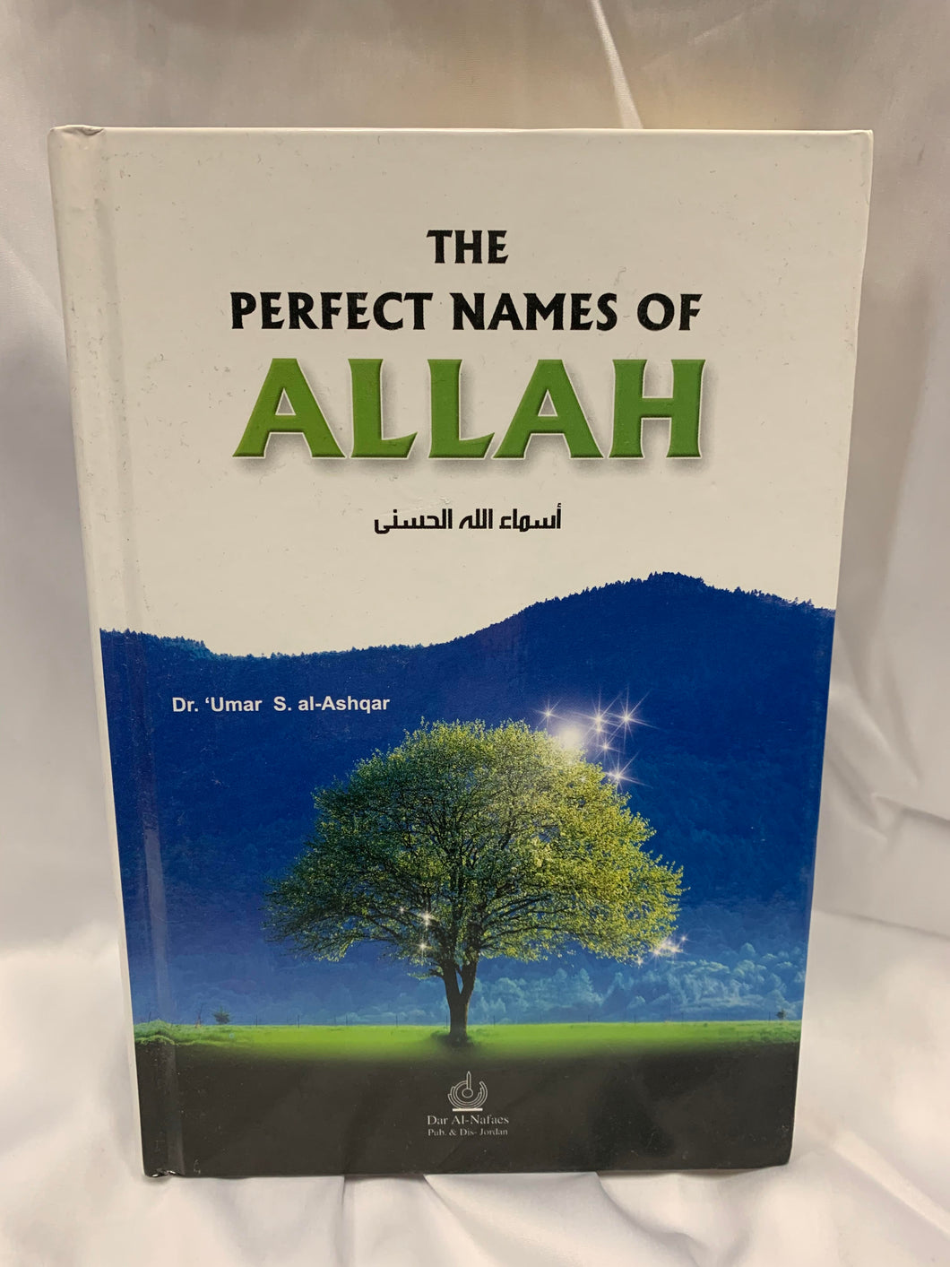 The Perfect Names of Allah
